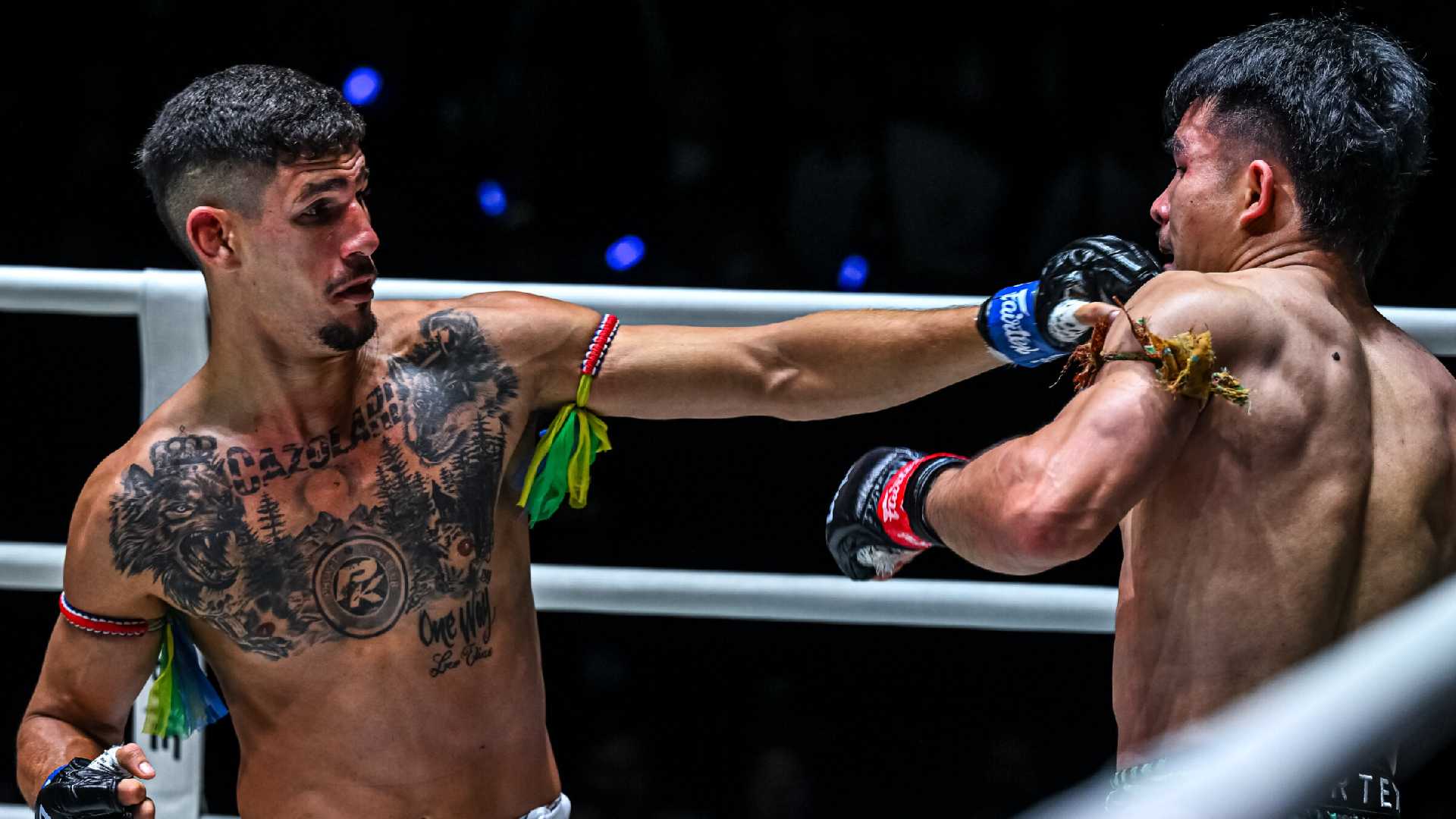 Julio Lobo fight